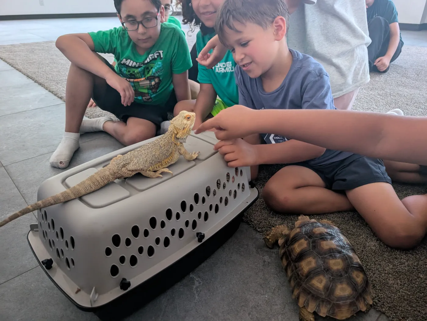 Children watching a lizard during a reptile encounter
